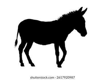 Donkey silhouette – vector illustration