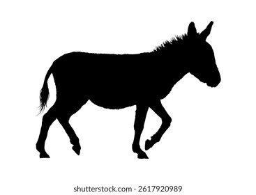 Donkey silhouette – vector illustration