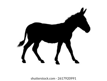 Donkey silhouette – vector illustration