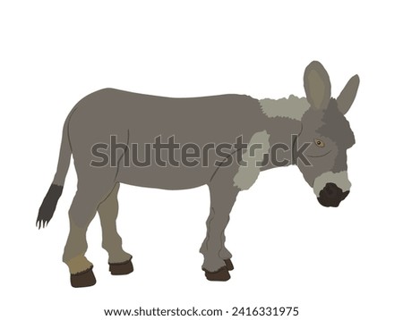 Donkey vector illustration isolated on white background. Domestic animal symbol. Farm animal.