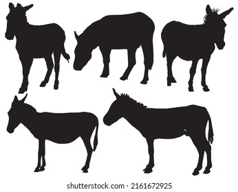 Donkey Vector Illustration Silhouette image