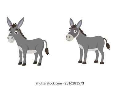 Fundo branco da ilustração do vetor do burro