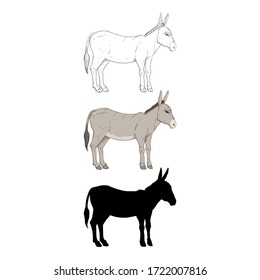 Donkey. Vector Set of Different Style Illustrations. Cartoon, Sketch and Silhouette