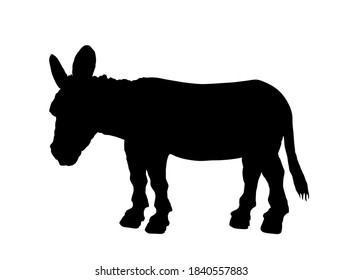 Donkey vector silhouette illustration isolated on white background. Domestic animal symbol. Shape donkey shadow.