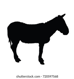 Donkey vector silhouette on white background.