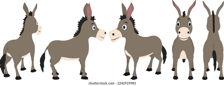 Donkey vector Turnaround image for Animations