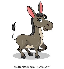 donkey at the white background