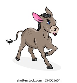 donkey at the white background