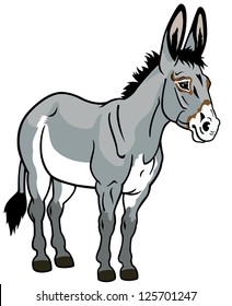 20,347 Donkey Stock Vectors, Images & Vector Art | Shutterstock