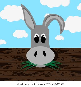 The donkey's head looks out of the pen. Adorable burro against blue sky background with white clouds. Creative flat picture with farm animal.