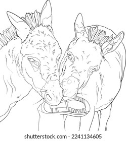 Donkeys playing with boot, adult colouring page.