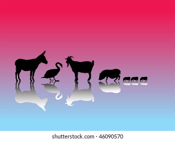 donkey,swan,goat and pig with shadow and colorful background