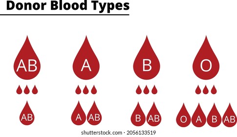 Donor blood types compatibility diagram. ABO blood group system. Vector illustration.