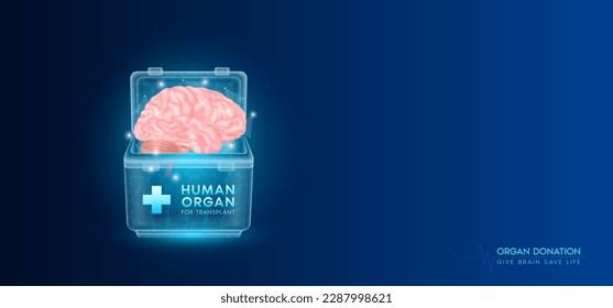 Donor organ. Human brain in cooler box translucent low poly triangles with copy space for text. Donation for organ transplantation. Medical innovation diagnosis treatment concept. Banner vector.