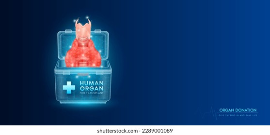 Órgano del donante. Glándula tiroidea humana en triángulos bajos de poli translúcidos de caja más fría con espacio de copia para texto. Donación para trasplante de órganos. Concepto de diagnóstico de innovación médica. Vector de pancarta.
