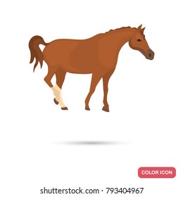 Don's horse color flat icon