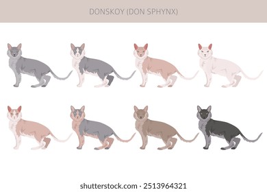 Donskoy, Don Sphynx Cat Clipart. Alle Fellfarben eingestellt.  Alle Katze Rassen Merkmale Infografik. Vektorgrafik