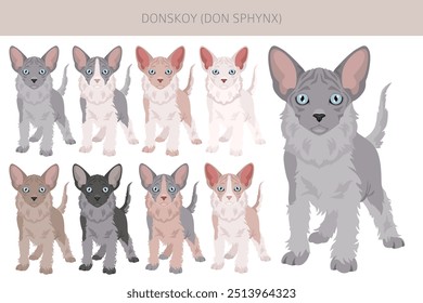 Donskoy, Don Sphynx Cat Clipart. Alle Fellfarben eingestellt.  Alle Katze Rassen Merkmale Infografik. Vektorgrafik