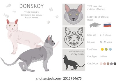 Donskoy, Don Sphynx Cat Clipart. Alle Fellfarben eingestellt.  Alle Katze Rassen Merkmale Infografik. Vektorgrafik