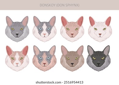 Donskoy, Don Sphynx Cat clipart. All coat colors set.  All cat breeds characteristics infographic. Vector illustration