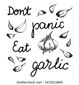 Don't panic eat garlic. Motivational, inspirational phrase, slogan or quote eating garlic. Stop coronavirus outbreak concept. Monochrome vector isolated illustration for poster, banner, sticker, card