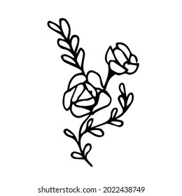 Doodle 2 magnolia flowers with herbs on a white background isolated
