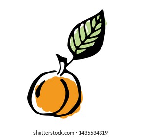 Doodle Abricot or peach with green leaves on top vector color drawing or illustration.