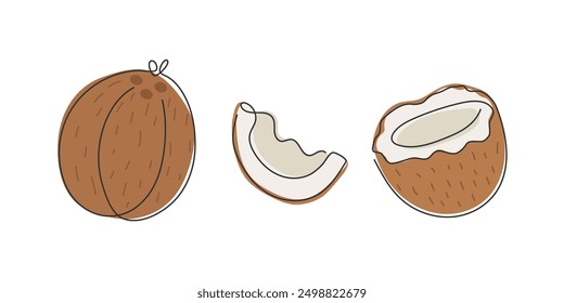 Doodle Abstractas conjunto de coco. Fruta tropical entera, mitad, rebanada aislada en blanco. Postre exótico. Ilustración de croquis de alimentos