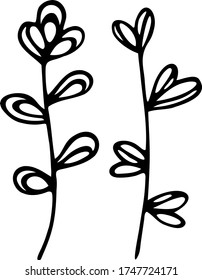 Hierbas abstractas de Doodle. Ilustración vectorial dibujada a mano Aislada sobre un fondo blanco. 
