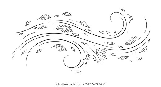 Doodle air wind and flying autumn leaves in hurricane blow or windy storm, line vector. Cartoon autumn wind with oak and maple leaf of fall season in blowing motion with spiral windy twirls