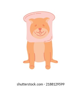 Doodle Akita - Inu dog isolated on white background. Akita in bread.