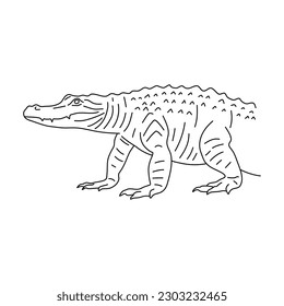 Doodle of Alligator. Hand drawn vector illustration.