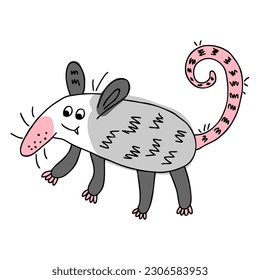 Doodle american opossum isolated on white background. Perfect for tee, textile and print. Vector illustration for decor and design.
