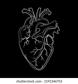 Doodle Anatomical Heart Line Art Abstract Drawing,vector Illustration Isolated On Black Background.Silhouette Of Human Heart White Line Drawing For Healthcare Design.Sign,logo Emblem,print