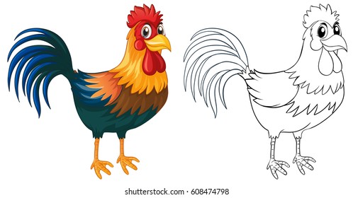 Doodle animal for rooster illustration