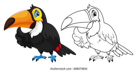Doodle animal for toucan bird illustration