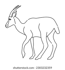 Doodle of Antelope. Hand drawn vector illustration.