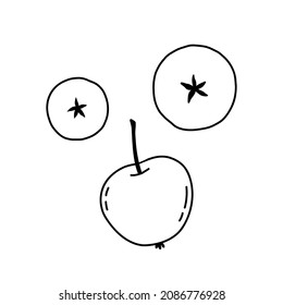 Fruto de manzana de perro. manzana entera y cortada.