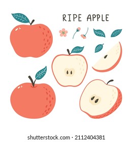 Doodle Apple. Hand Drawn fruit with floral decoration elements for logo, background, sticker, print, menu, market label, food package design