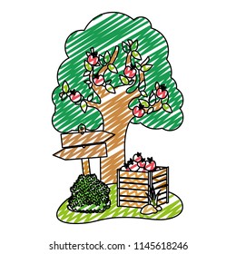 doodle apple tree and fruits inside wood farm box