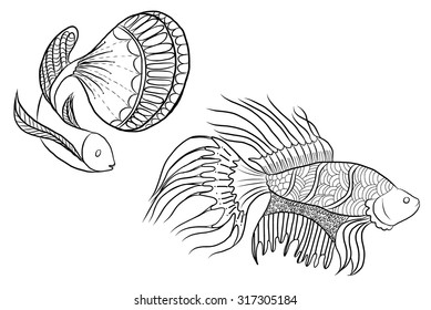 doodle art, beautiful fish vector