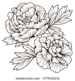 Doodle art of beautiful flower and leaf isolated on white background. 
Beautiful hand drawn illuatration Peony flower. Vector illustration. 
decoration, sticker, pattern, and more.