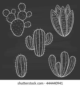 Doodle art cactus set on chalkboard background
