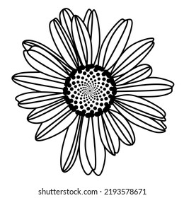 Doodle art flowers. Illustration garden