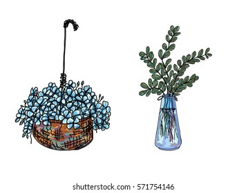 doodle art Garden Terrariums,doodle colorful flowers in pots and glass jars; Hand drawn Dischidia nummularia Variegata vector
