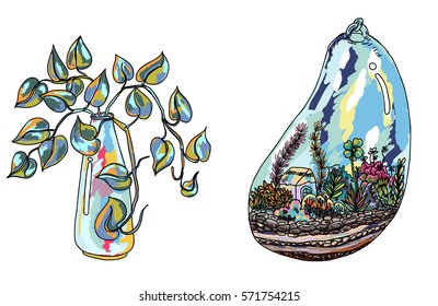 doodle art Garden Terrariums,doodle colorful flowers in pots and glass jars; Hand drawn Dischidia nummularia Variegata vector