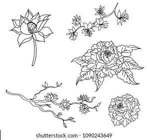 doodle art Lotus flower with peony flower and peach flower plant.Chinese flower set isolate.