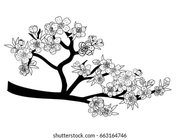 Doodle art Peach blossom plant and Sakura flower vector.Cherry blossom vector for tattoo and printing on white background.