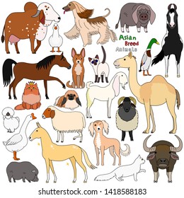 doodle of Asian breed domestic animals