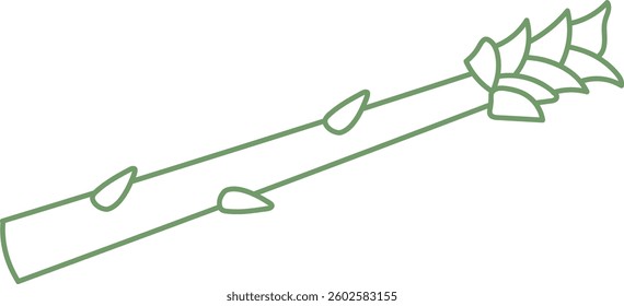 Doodle Asparagus Stalk Vector Illustration